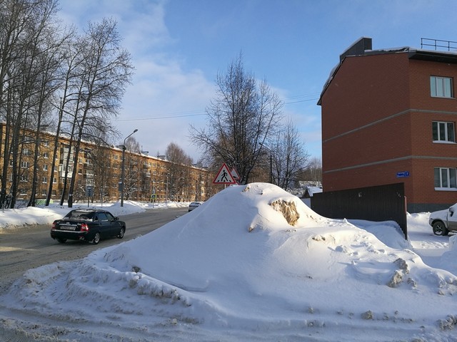 sneg 04
