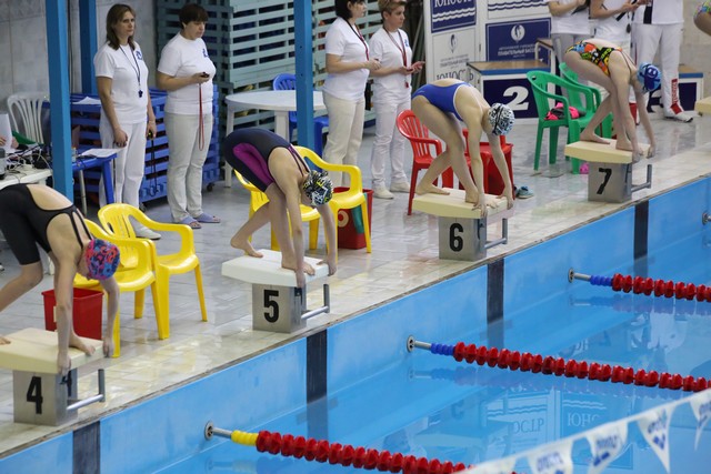 delfin 03