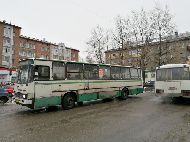 avtobusy 01