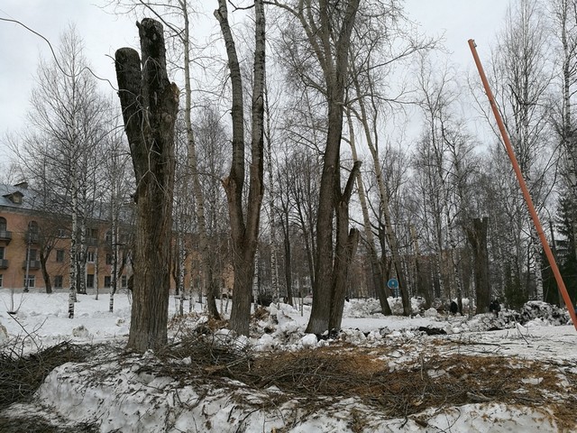 derevyia 02