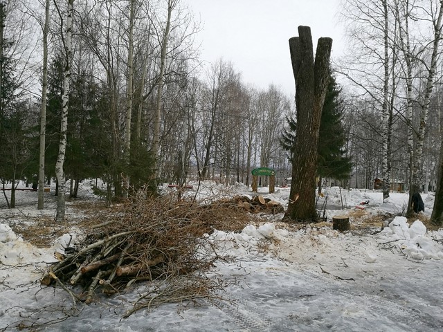 derevyia 05