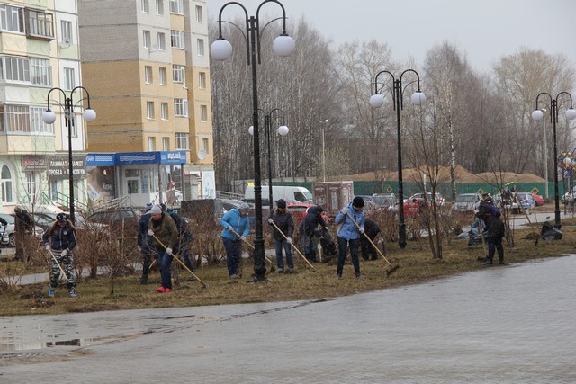 subbotnik 14