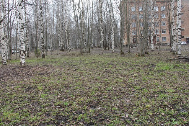 subbotnik 27