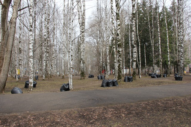 subbotnik 31