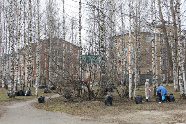 subbotnik 32