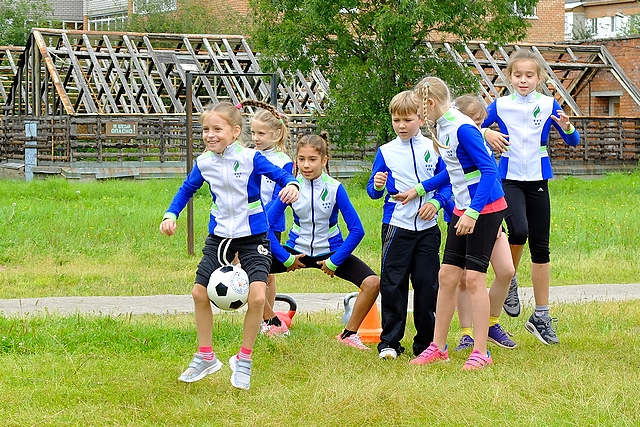 den-mikr 40