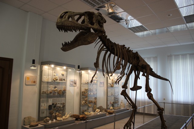 paleontologiya 001