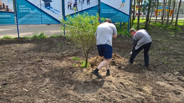 ozeleneniye michura 001