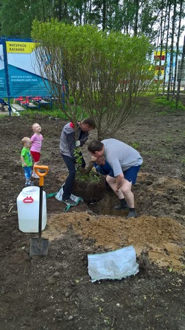 ozeleneniye michura 004