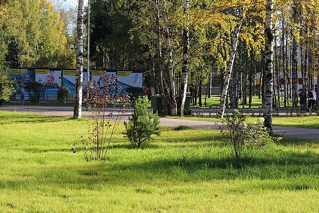 park 006