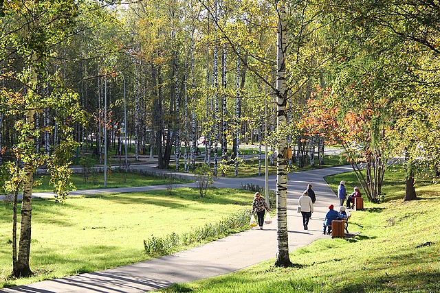 park 010