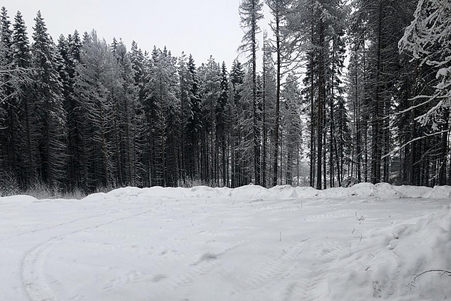 parkovka 02