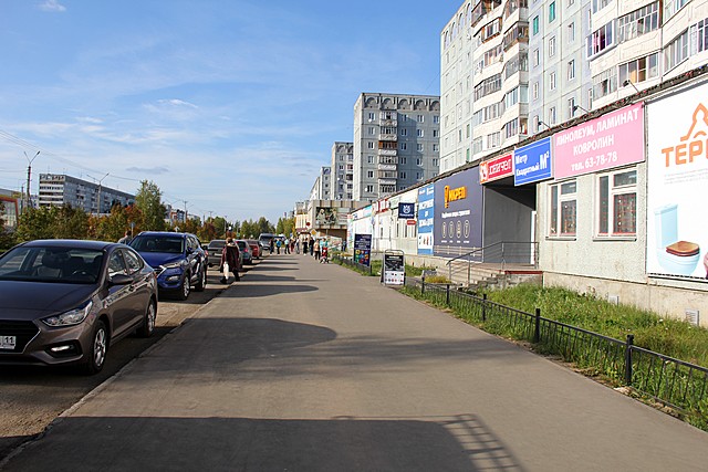 inspekciya 04