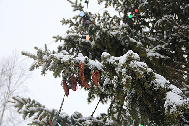 Лесозавод 3