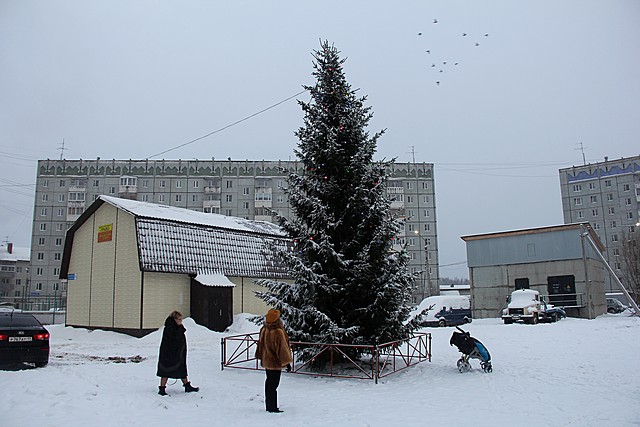 Нижний Чов 2