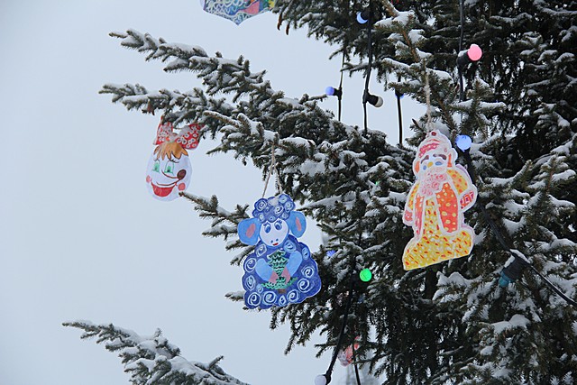 Сосновая поляна 1