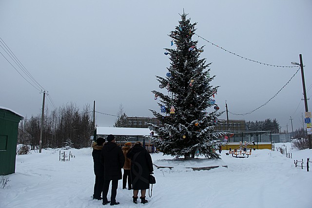 Сосновая поляна 2