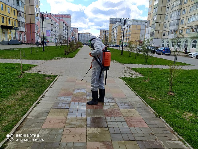 sanobrabotka 04