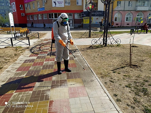 sanobrabotka 06