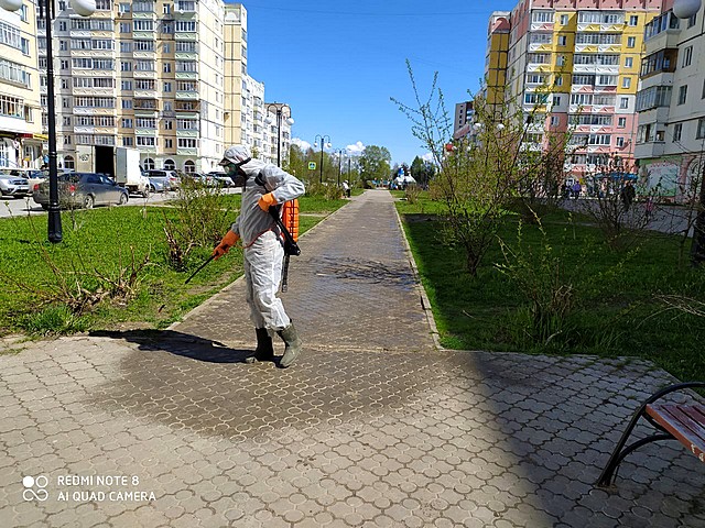 sanobrabotka 06