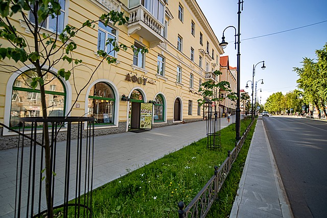 vyrubka derevyev 03