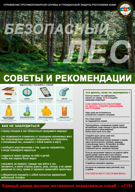 Безопасный лес АФИША