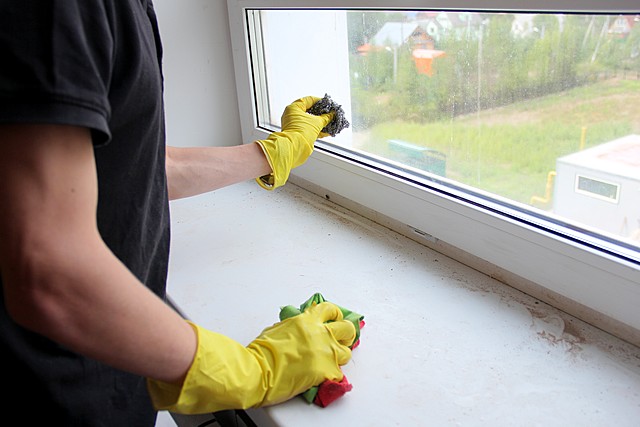 shlola krasn uborka 06