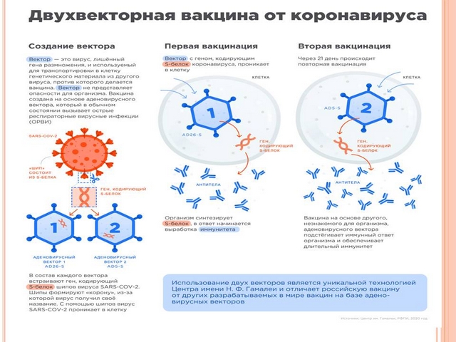 vacinaciya-present 11