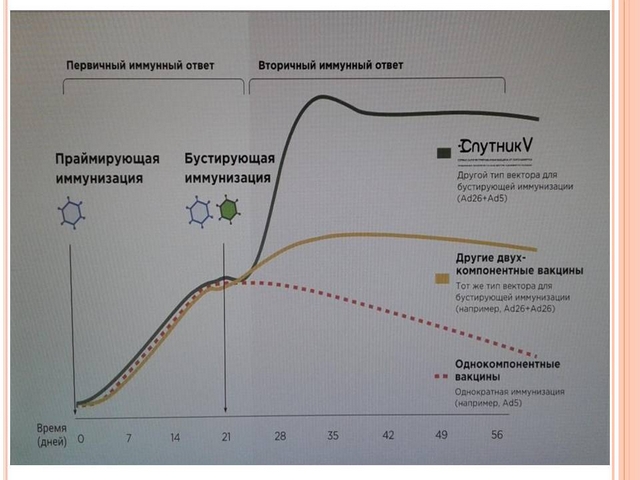 vacinaciya-present 12