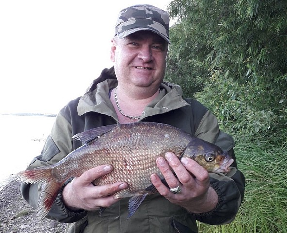 Fish chempion03