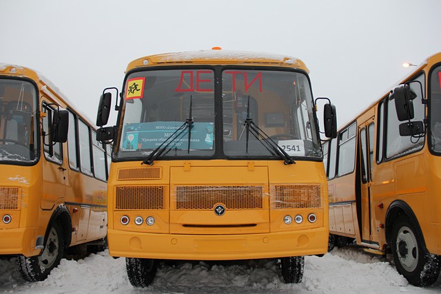 new bus04