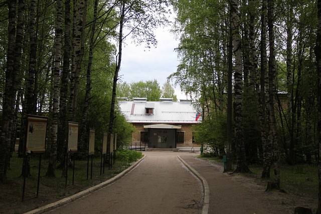 shkola 5