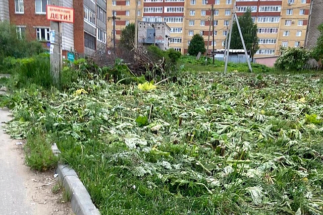 borshevik 07