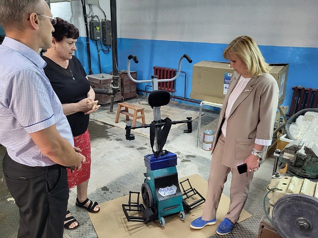 Инспекция 4