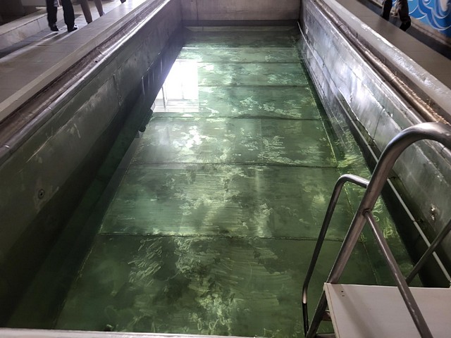 Инспекция 6