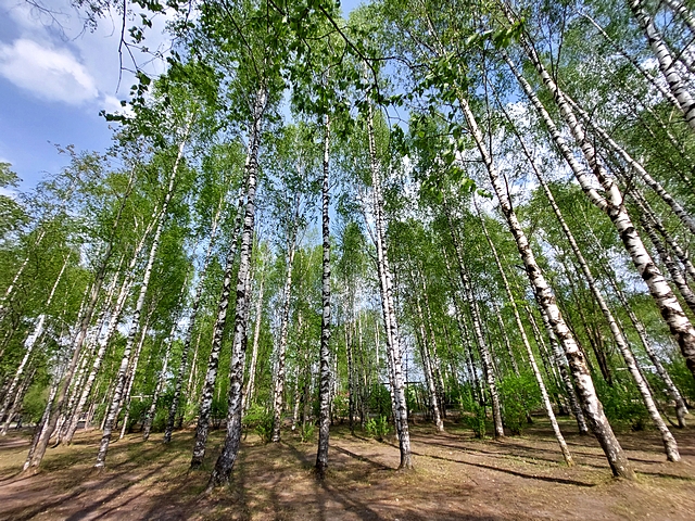 shkolnaya 11