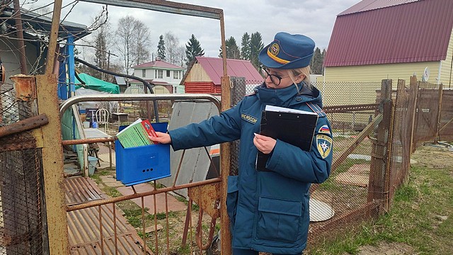 RX5NkP6I5f4reyd po dacham